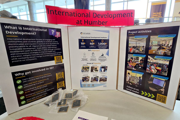 Display poster board of info about IDI