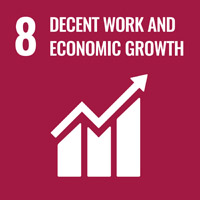 Goal 8: decent work and economic growth