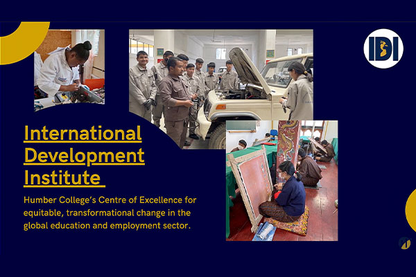 About The International Development Institute